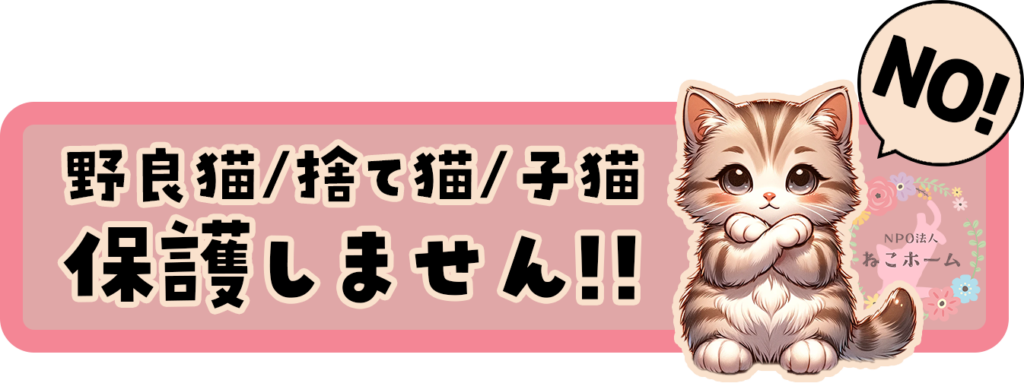 飼い猫工房 お問い合わせ窓口 浮かん